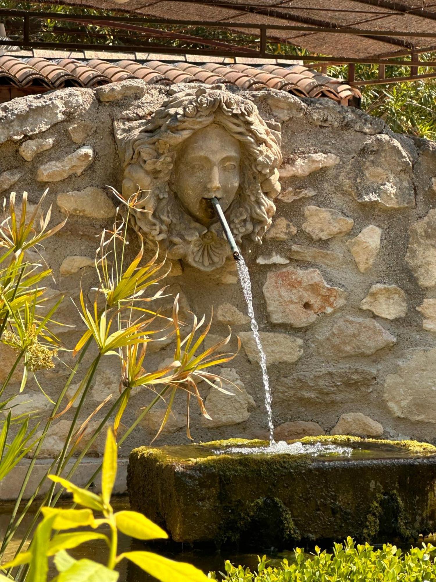 Mas des Bambous Saint-Rémy-de-Provence Exterior foto